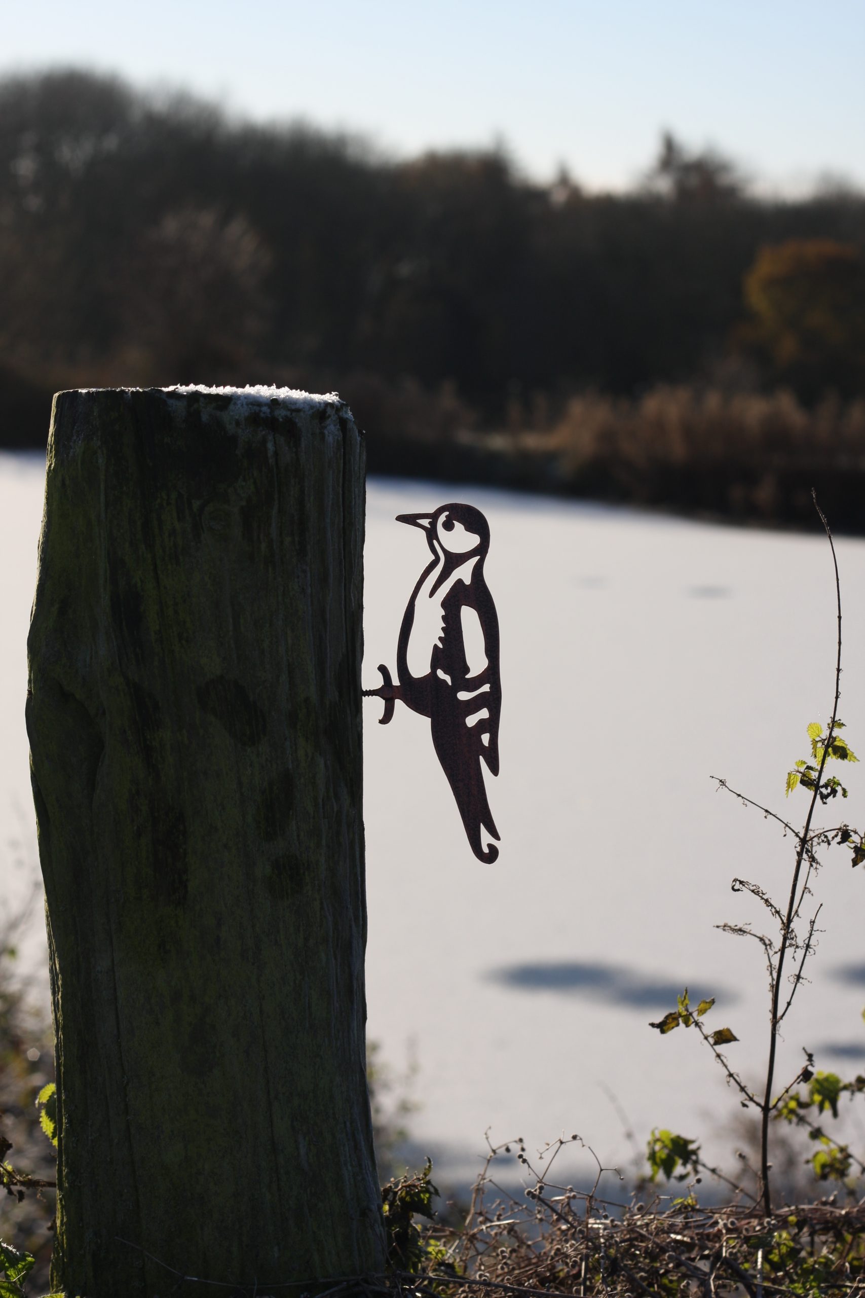 Woodpecker bird feeder hanger