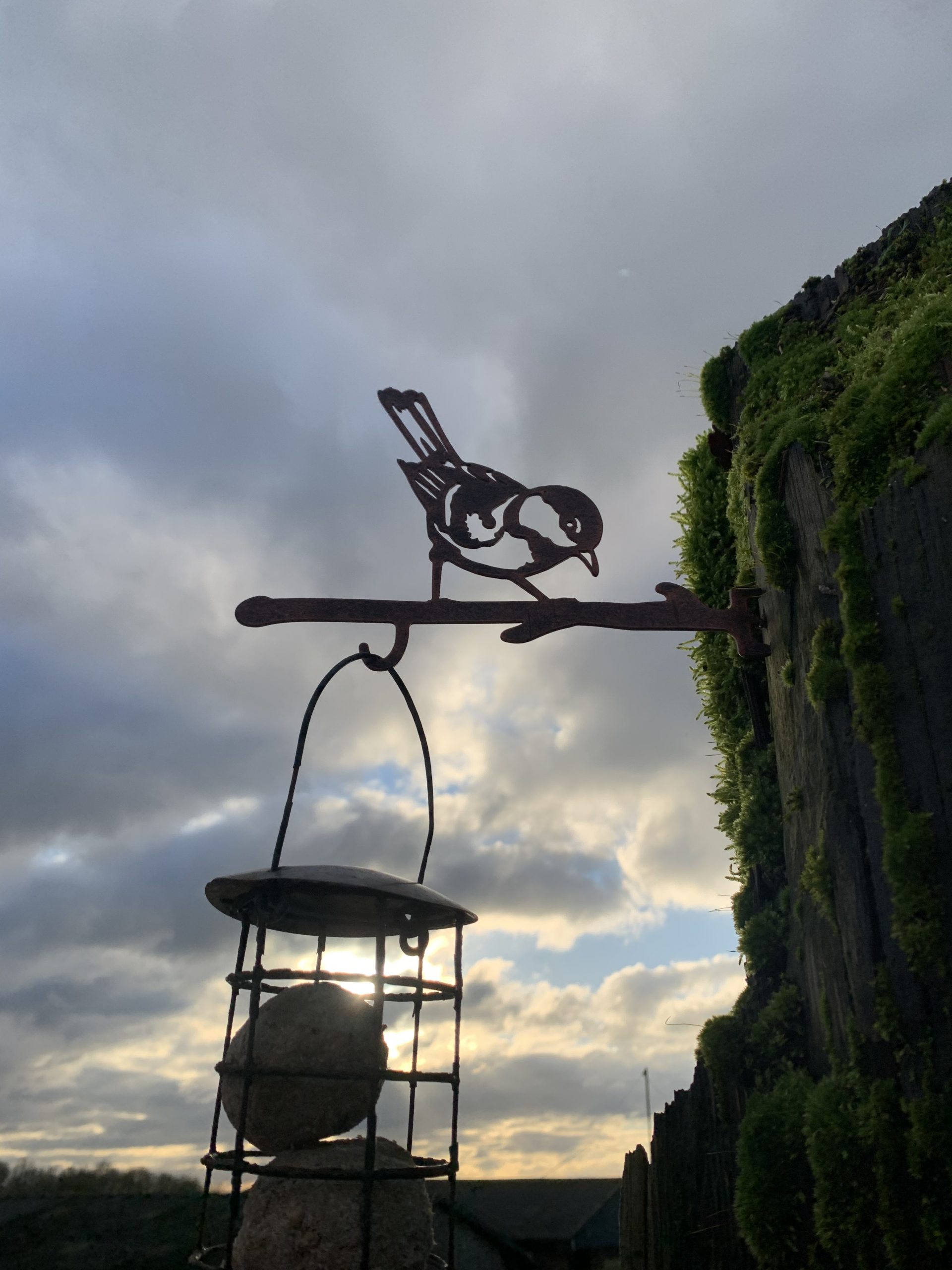 Bluetit bird feeder hanger