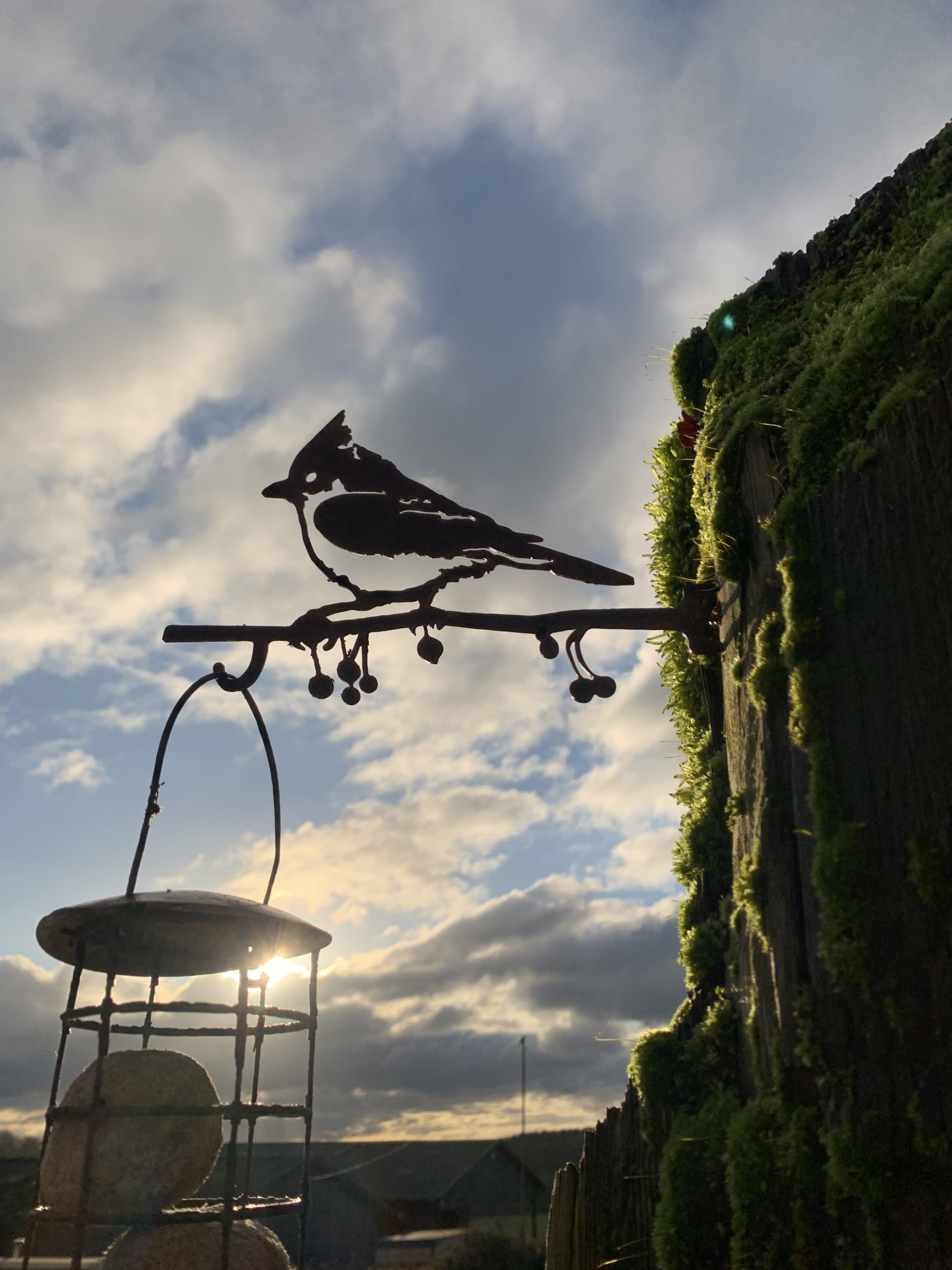 Crested tit bird feeder hanger