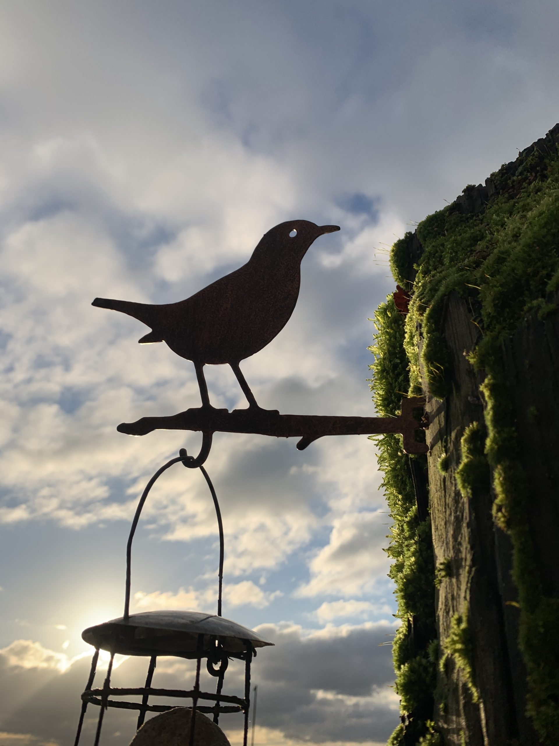 Blackbird feeder hanger