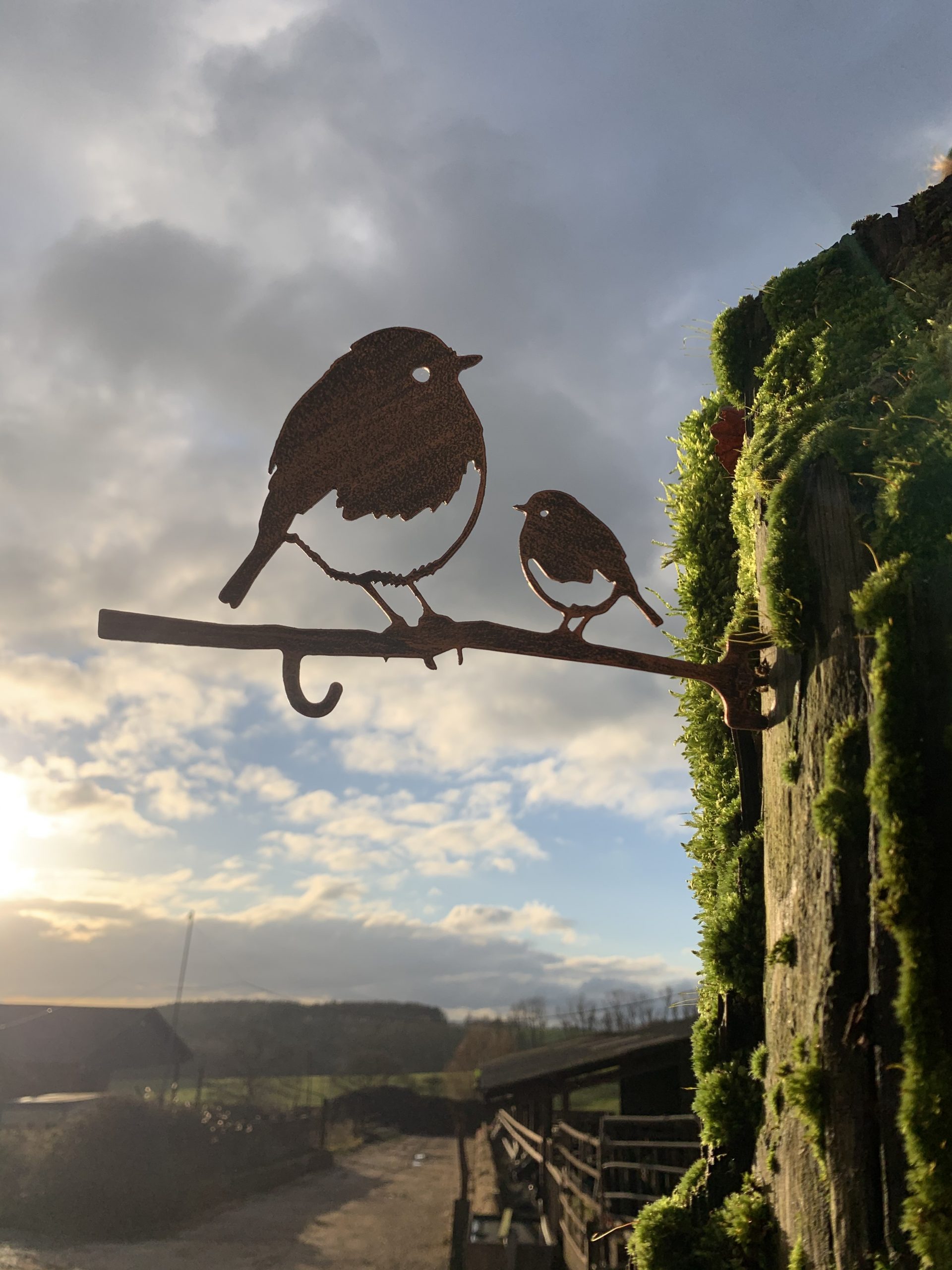 Robin and check bird feeder hanger